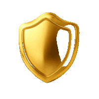 Bank-Grade Security