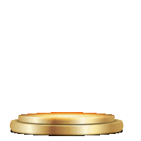 Security Icon